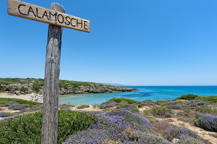 Calamosche and the Vendicari Nature Reserve Calamosche and the Vendicari Nature Reserve