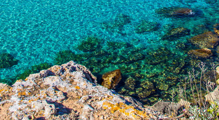 What To Do Favignana Island Sicily Tourist Attraction Beach