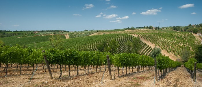 marsala-wine-sicily