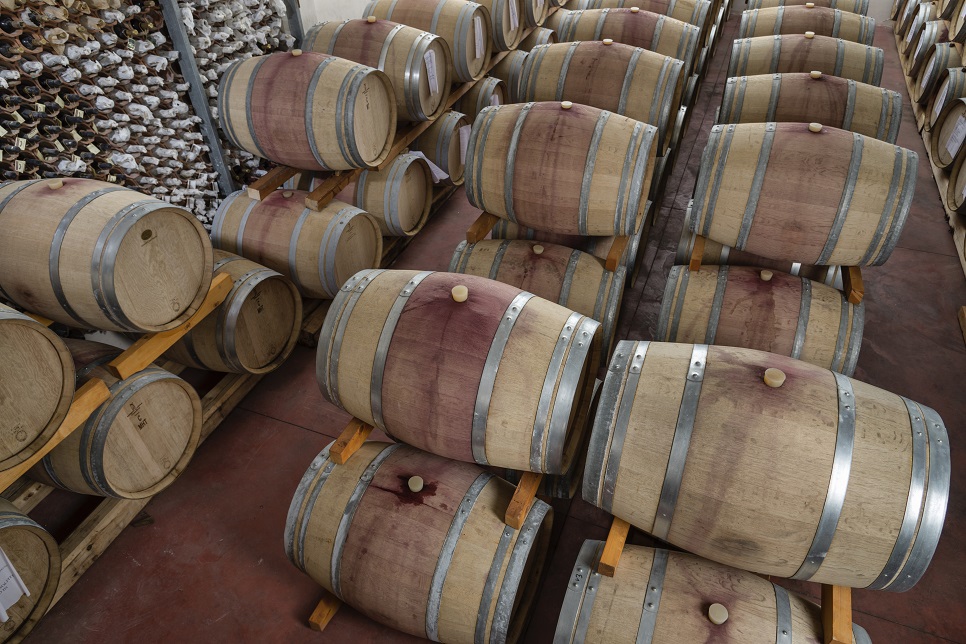 Barrels of wine in Marsala