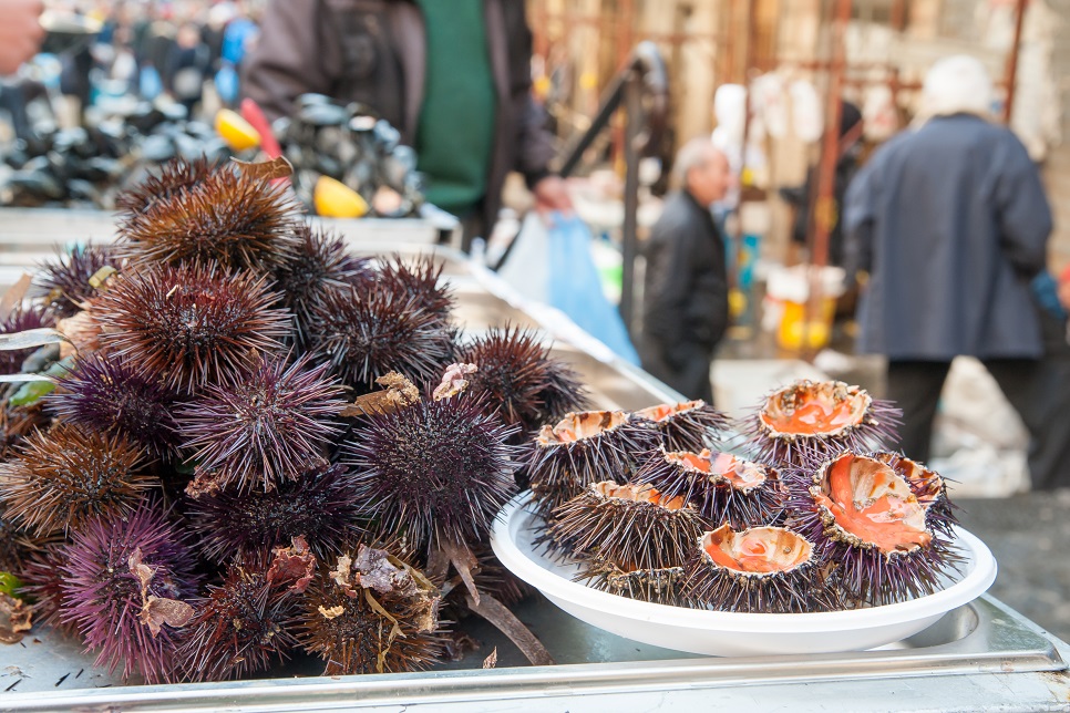 Ricci Sicilian Sea urchins