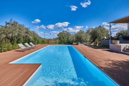 Olivia - _AM_2936.jpg