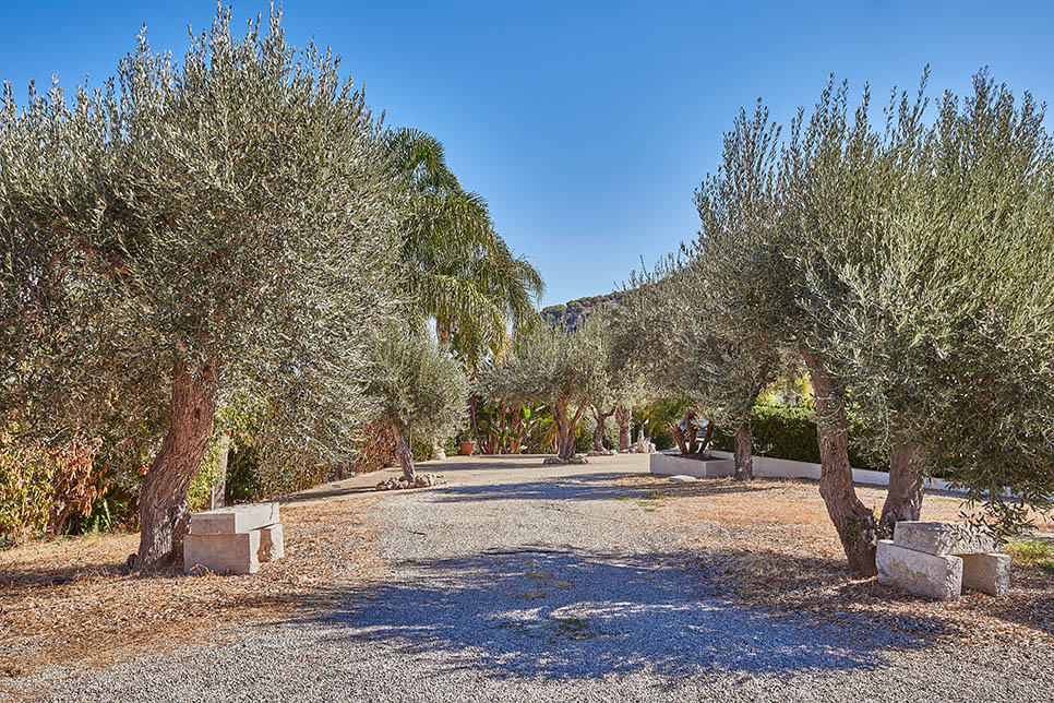 Villa Senia 28