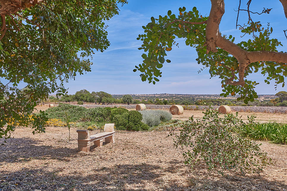 Giardini Donnafugata 29