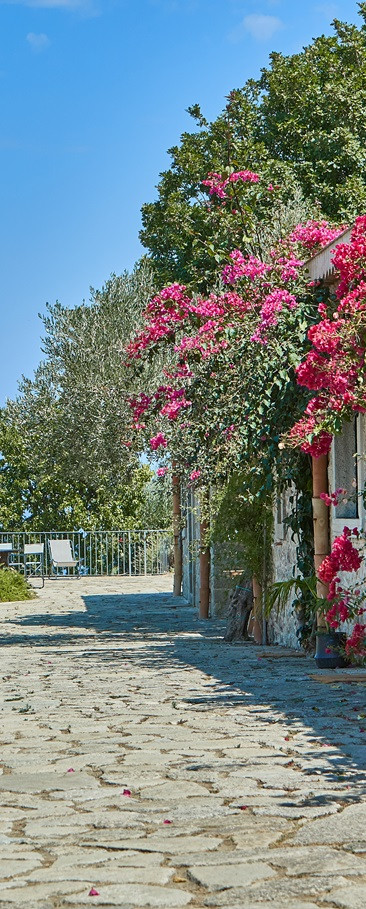 Casetta Scecca Richiedi info