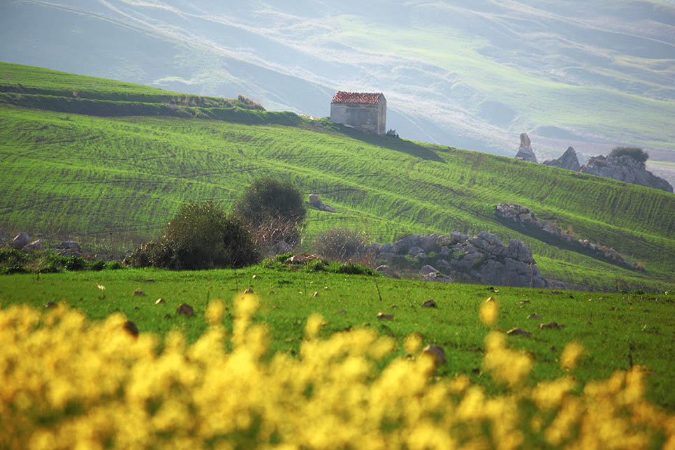 17_corleone-mafia-tour