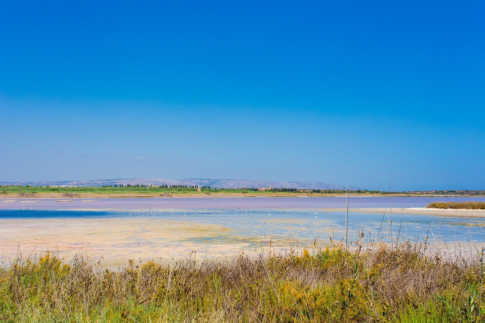 Sports and activities