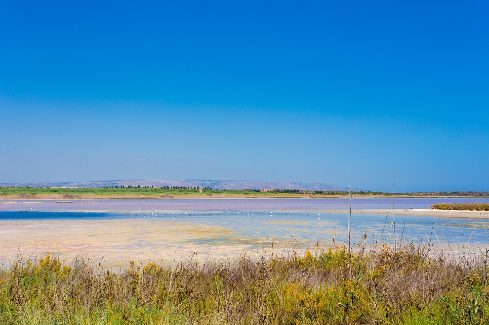 71_nature-reserve-vendicari